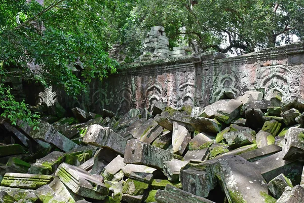 Siem Reap Kingdom Cambodia August 2018 Prohm Temple — Stock Photo, Image