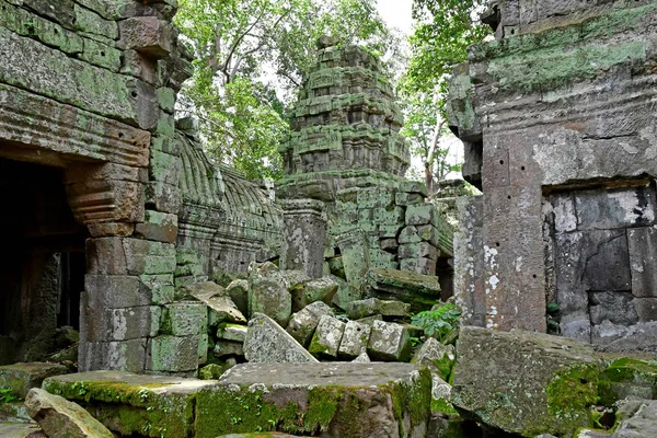 Siem Reap Kingdom Cambodia August 2018 Prohm Temple — Stock Photo, Image