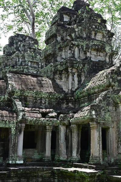 シェムリ アップ カンボジア王国 2018 プローム寺院 — ストック写真