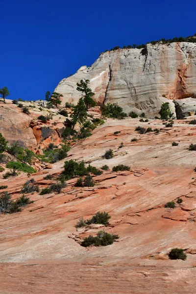 Zion Park Utah Estados Unidos Julio 2016 Parque Nacional — Foto de Stock