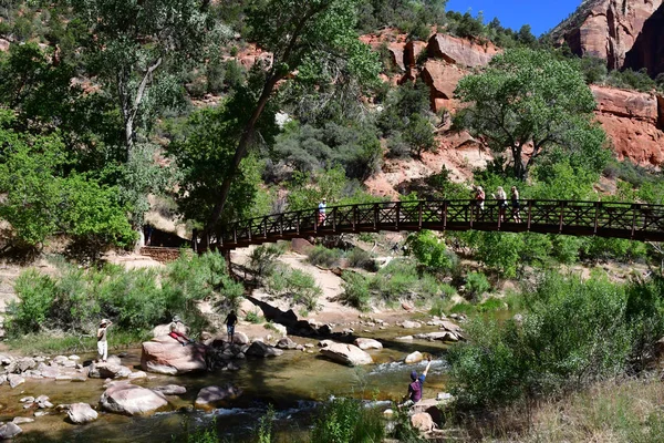 Zion Park Utah Estados Unidos Julio 2016 Río Parque Nacional — Foto de Stock