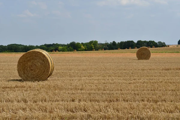 Dit Joli Village France July 2018 Bales Straw Field — Stock Photo, Image