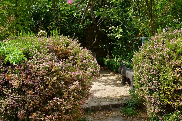 Dit Joli Byn Frankrike Juli 2018 Claude Pigeard Verktyg Museum — Stockfoto