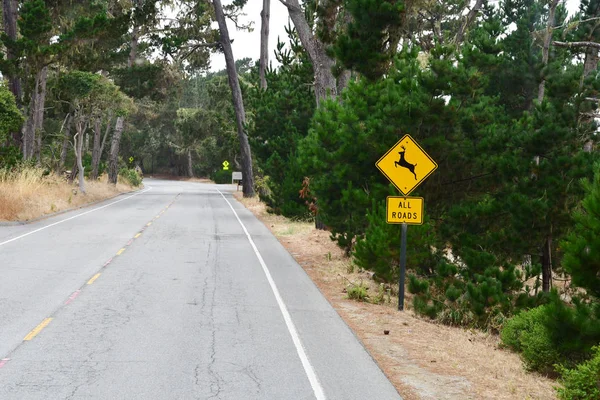 Carmel Sea Usa July 2016 Mile Drive Landscape — Stock Photo, Image