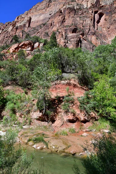 Zion Park Utah Estados Unidos Julio 2016 Parque Nacional — Foto de Stock