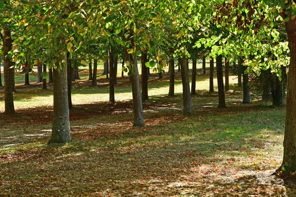 Versalles Francia Octubre 2018 Parque Del Palacio Versalles —  Fotos de Stock