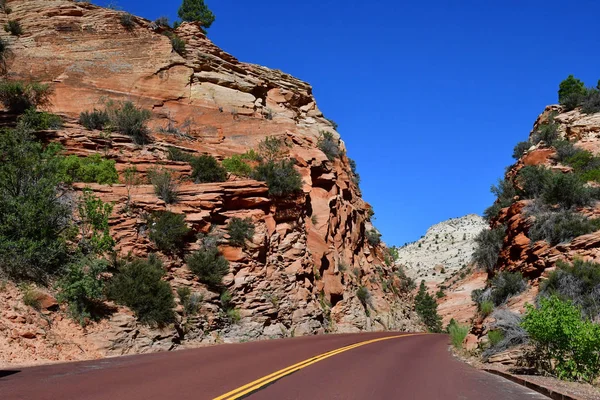 Zion Park Utah Usa Juli 2016 Het Nationaal Park — Stockfoto