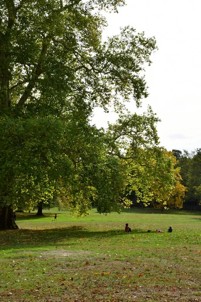 Versalles Francia Octubre 2018 Parque Del Palacio Versalles — Foto de Stock