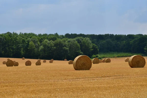 Dit Joli Village France July 2018 Bales Straw Field — Stock Photo, Image