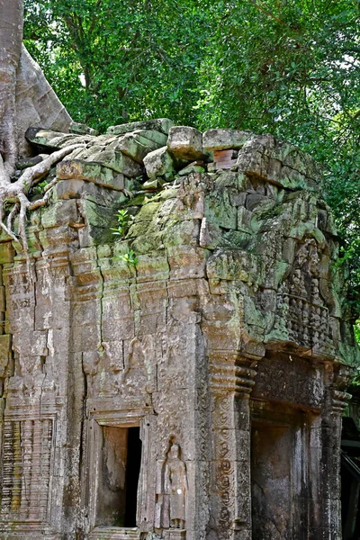 Siem Reap Reino Camboja Agosto 2018 Templo Prohm — Fotografia de Stock