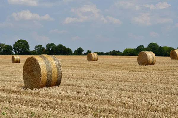 Dit Joli Village France July 2018 Bales Straw Field — Stock Photo, Image