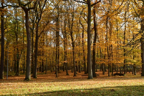 Les Mureaux Fransa Kasım 2018 Becheville Castle Park — Stok fotoğraf