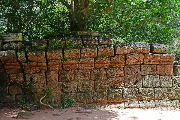 Siem Reap Kambodžské Království Srpen 2018 Chrám Prohm — Stock fotografie