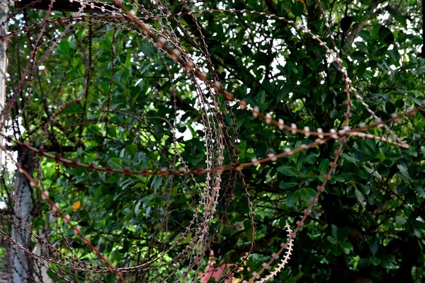 Phnom Penh Royaume Cambodge Août 2018 Prison Sécurité Musée Génocide — Photo