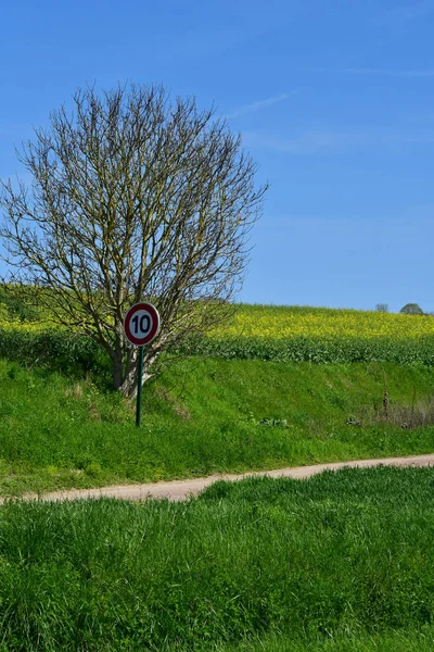 Ableiges France May 2018 Landscape — Stock Photo, Image