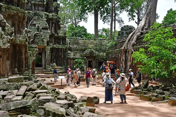 Siem Reap Kingdom Cambodia August 2018 Prohm Temple — Stock Photo, Image