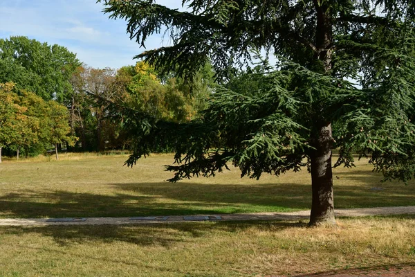 Les Mureaux Francie Září 2018 Becheville Park — Stock fotografie