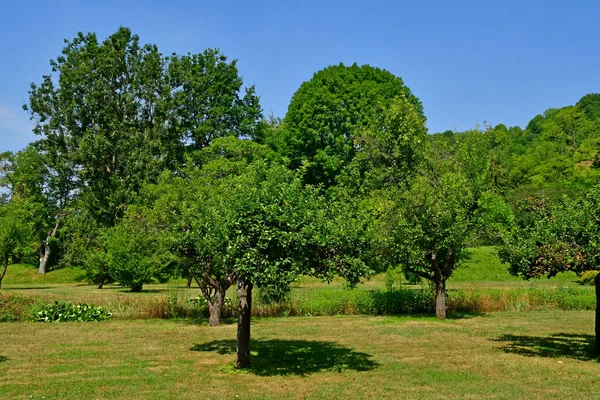 Haute Isle Francia Julio 2018 Pintoresco Paisaje Verano —  Fotos de Stock