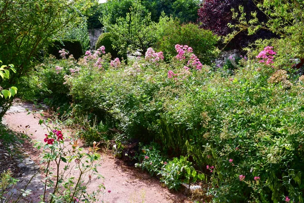 Dit Joli Village França Julho 2018 Jardim Museu Claude Pigeard — Fotografia de Stock