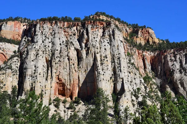 Zion Park Utah Usa Juli 2016 Het Nationaal Park — Stockfoto