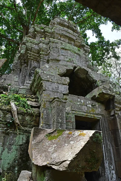 Siem Reap Kingdom Cambodia August 2018 Prohm Temple — Stock Photo, Image