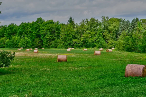 Autheuil Authouillet Frankrike Augusti 2018 Balar Halm Äng — Stockfoto