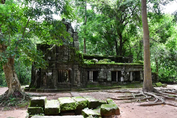 Siem Reap Królestwo Kambodży Sierpień 2018 Świątyni Prohm — Zdjęcie stockowe