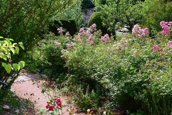 Dit Joli Village Francia Luglio 2018 Giardino Del Museo Degli — Foto Stock