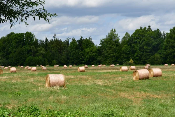 Autheuil Authouillet France August 2018 Bales Straw Meadow — Stock Photo, Image