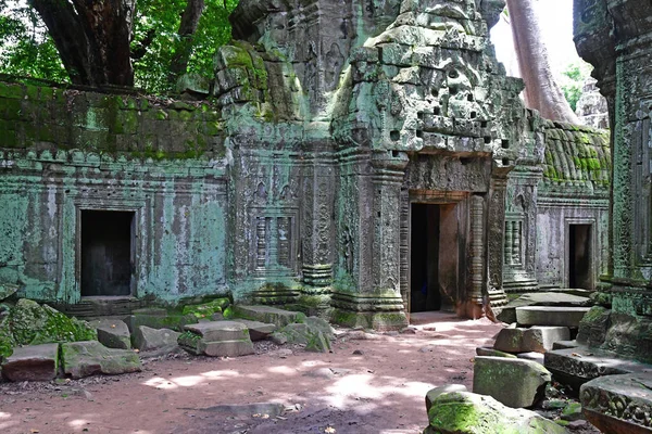 Siem Reap Kingdom Cambodia August 2018 Prohm Temple — Stock Photo, Image