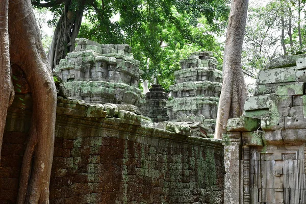 Siem Reap Kingdom Cambodia August 2018 Prohm Temple — Stock Photo, Image