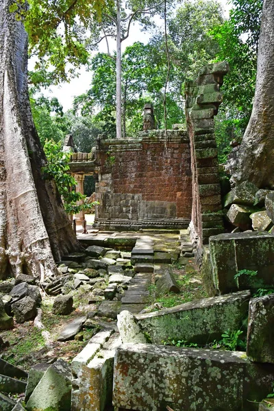 Siem Reap Kingdom Cambodia August 2018 Prohm Temple — Stock Photo, Image