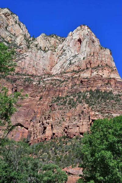 Zion Park Utah Estados Unidos Julio 2016 Parque Nacional — Foto de Stock