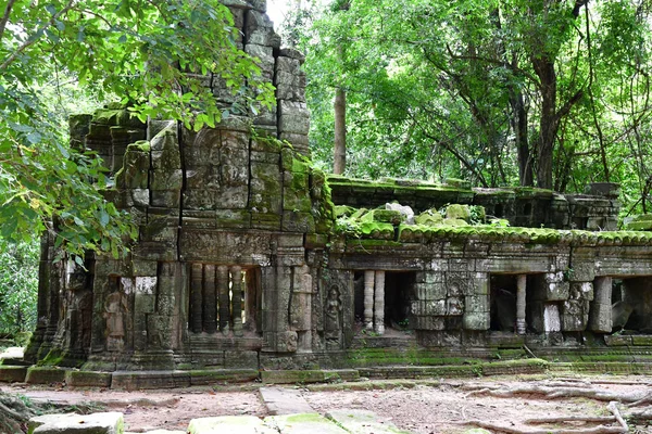 Siem Reap Kingdom Cambodia August 2018 Prohm Temple — Stock Photo, Image