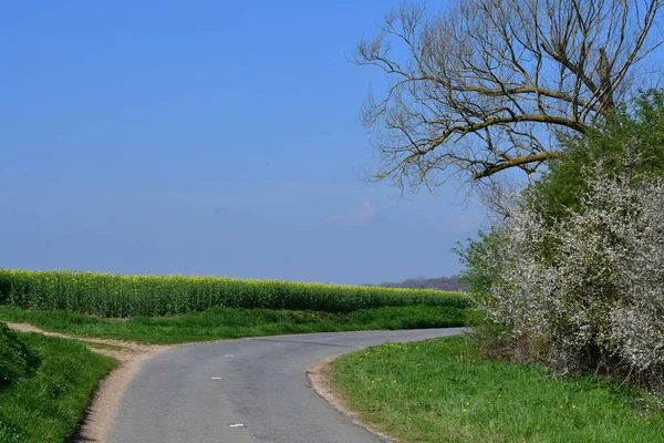 Boury Vexin France April 2017 Small Road Spring — Stock Photo, Image