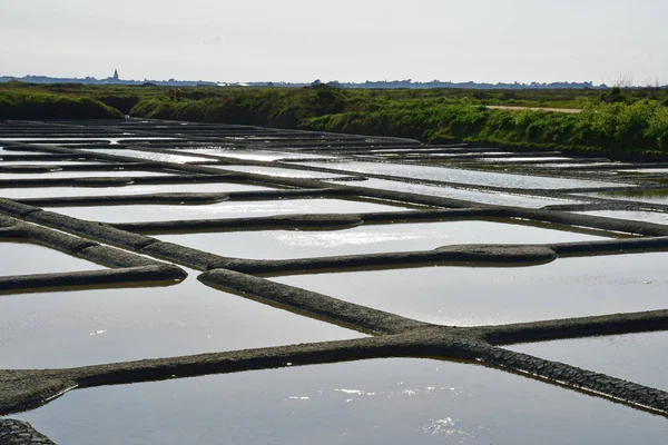 Guerande Frankrike April 2017 Landskap Den Salt Kärr — Stockfoto