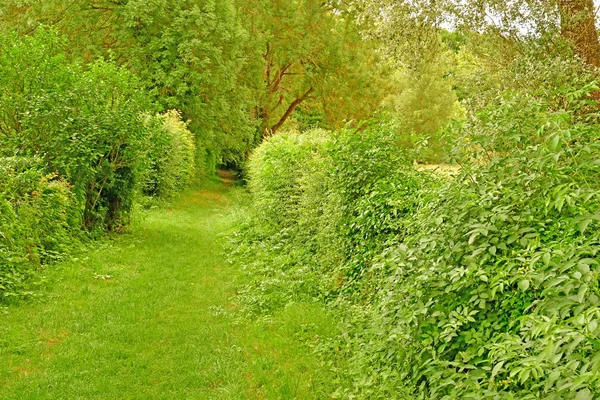 Lyons Foret Francie Června 2017 Malebné Vesnice Lyons Foret Normandie — Stock fotografie