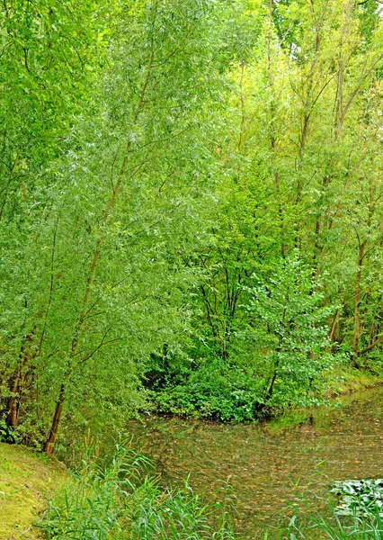 Les Mureaux; Francia - 16 de septiembre de 2017: Maison Bouvaist — Foto de Stock