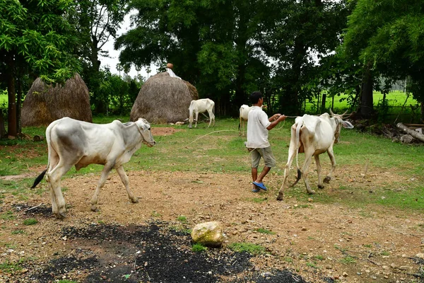 Kampong Chhnang? Βασίλειο της Καμπότζης - Αυγούστου 21 2018: εικόνες — Φωτογραφία Αρχείου