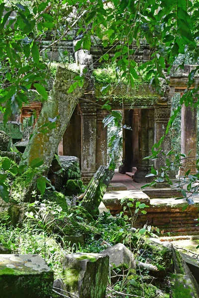 Siem Reap; Kingdom of Cambodia - august 24 2018 : Ta Prohm templ — Stock Photo, Image