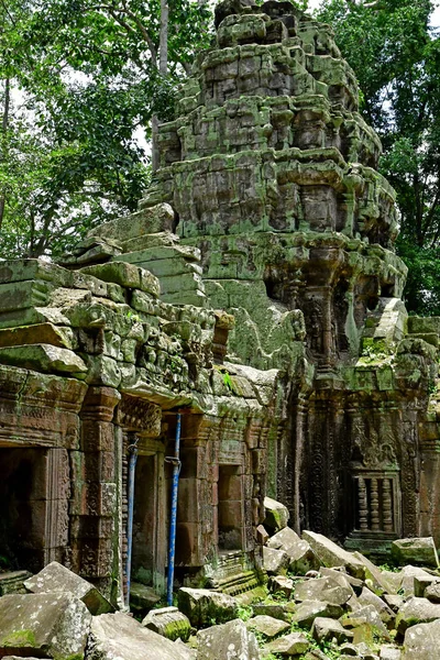 シェムリ アップ。カンボジア王国 - 8 月 24 2018: タ ・ プローム templ — ストック写真