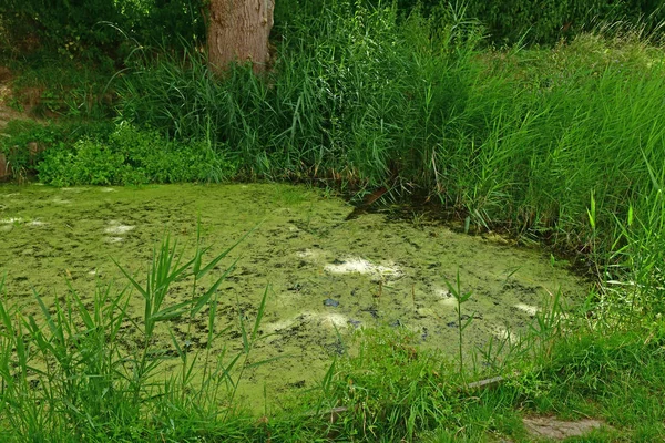 Jouy le Moutier, France - March 16 2017：pond — 图库照片