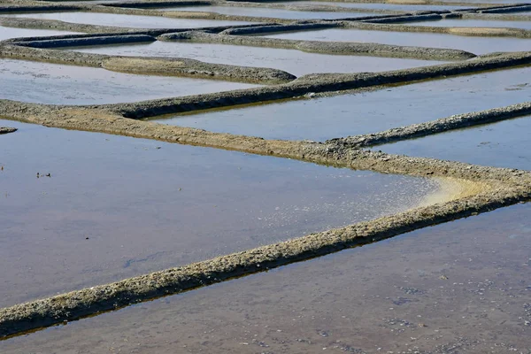 Guerande, Francia - 14 de abril de 2017: Salinas —  Fotos de Stock