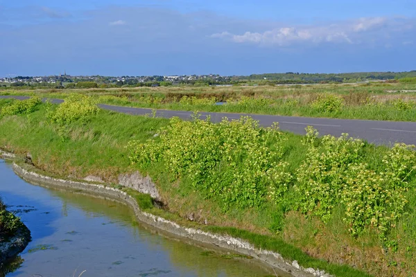 Guerande, Frankrike - april 14 2017: salta våtmarker — Stockfoto