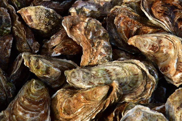 Caen; Francia - 4 de abril de 2018: Mercado de Courtonne —  Fotos de Stock