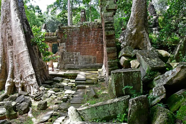 Siem Reap; Kingdom of Cambodia - august 24 2018 : Ta Prohm templ — Stock Photo, Image