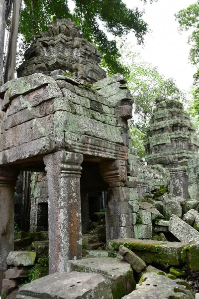 Siem Reap ; Royaume du Cambodge - 24 août 2018 : Templ Ta Prohm — Photo