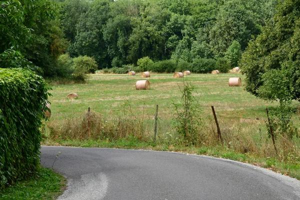 Autheuil Authouillet; France - august 8 2018 : picturesque lands — Stock Photo, Image