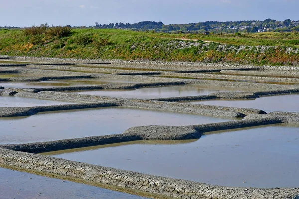 Guerande, Frankrike - april 14 2017: salta våtmarker — Stockfoto