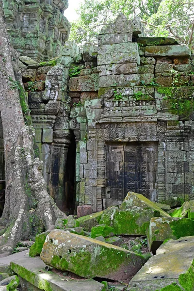 Siem Reap; Kingdom of Cambodia - august 24 2018 : Ta Prohm templ — Stock Photo, Image